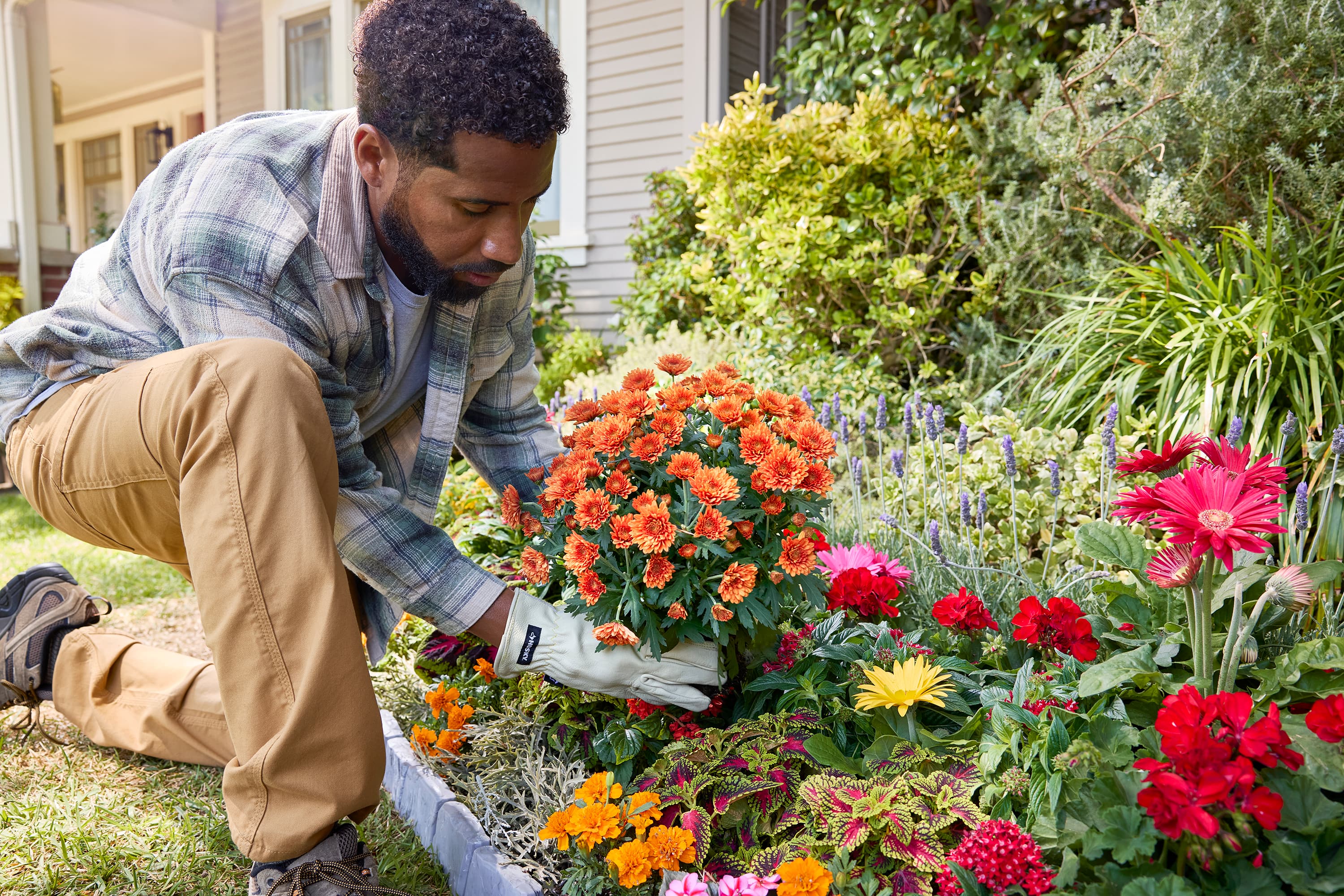 Home depot flowers discount